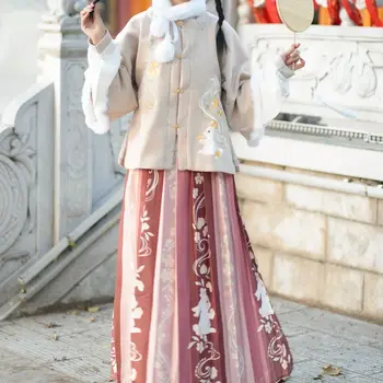 שנה הסינית חדשה שמלת שושלת טאנג Hanfu לנשים כיכר צווארון, חצי שרוול עבה עטוף מעיל רקום קפלים החצאית סטים